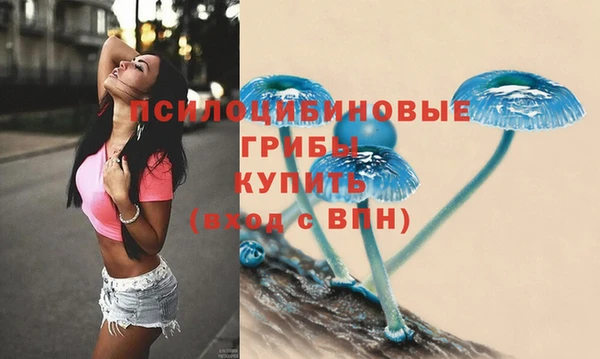 спиды Нея