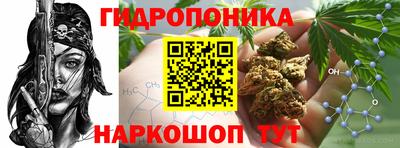 МДПВ Гусев