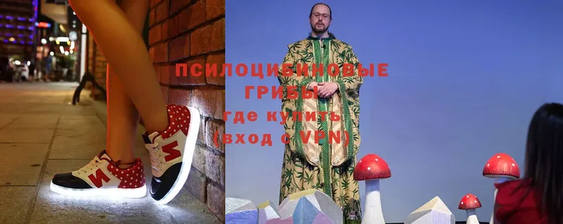 Галлюциногенные грибы Psilocybine cubensis  Москва 