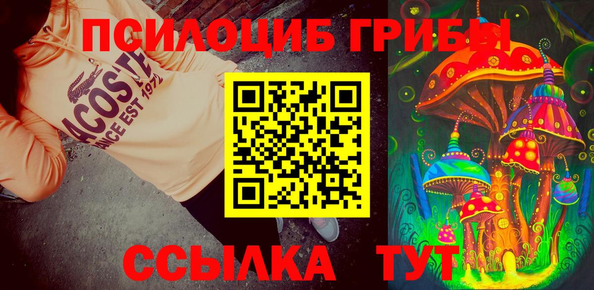 Галлюциногенные грибы GOLDEN TEACHER  Псилоцибиновые грибы Magic Shrooms  Москва 