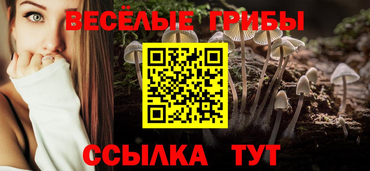 Галлюциногенные грибы мицелий Москва