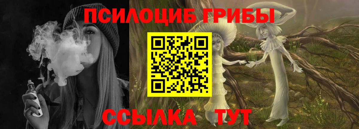 Москва  Псилоцибиновые грибы Cubensis  Псилоцибиновые грибы мухоморы  Вход с VPN 