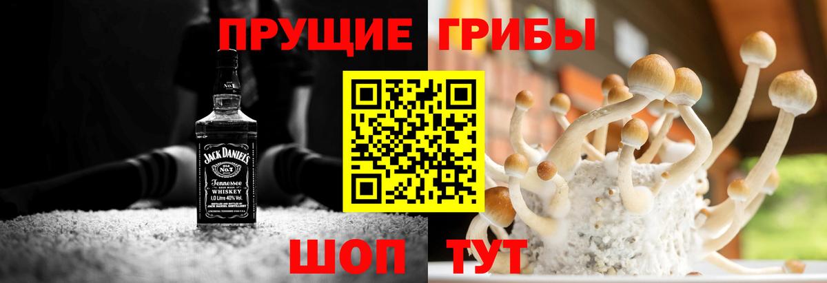 Галлюциногенные грибы мицелий Москва