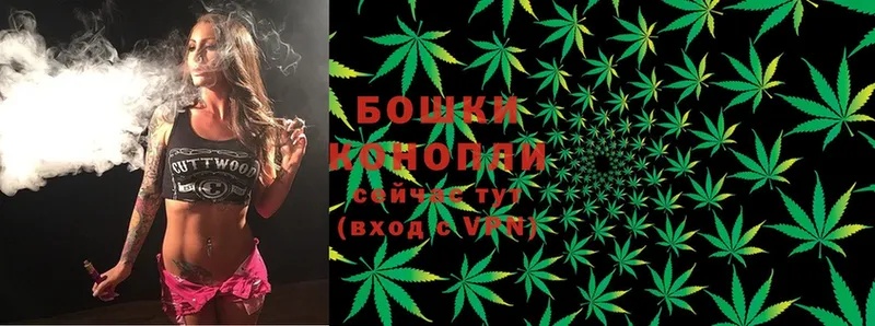 Бошки марихуана индика  blacksprut рабочий сайт  Москва 