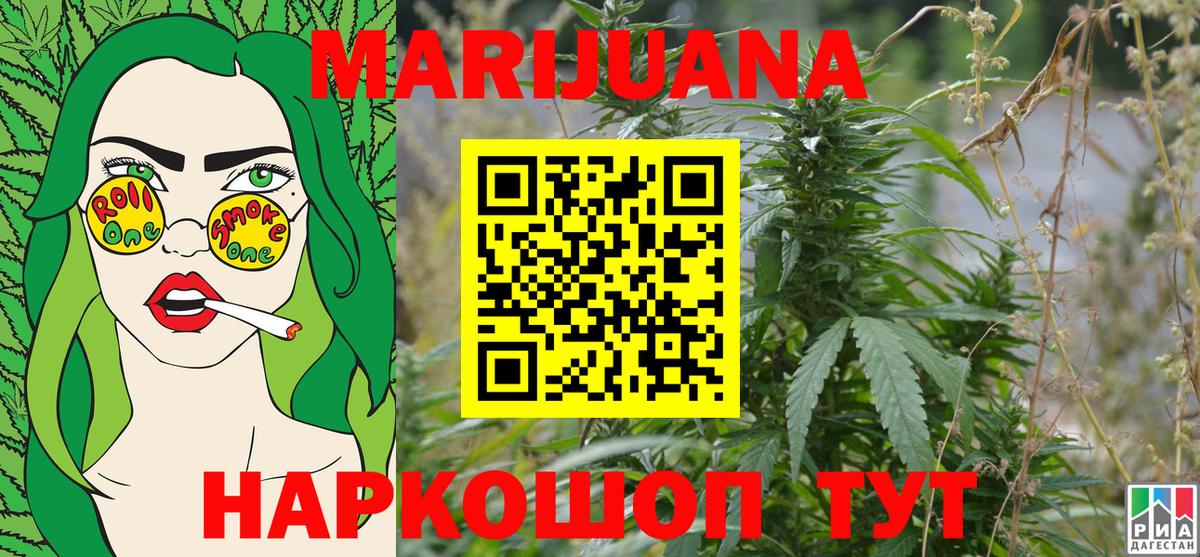 Каннабис ГИДРОПОН Москва